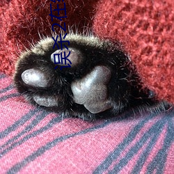 误杀2在线观看1080高清下