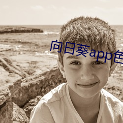 向日(日)葵app色版