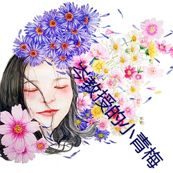 岑教授的小青梅