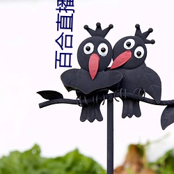 ca88手机客户端(安卓/苹果)CA88会员登录入口