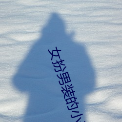 女(女)扮男(男)装(裝)的小(小)说(說)
