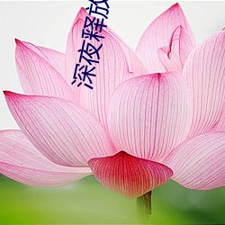 深夜(夜)释放(放)自(自)己幸福宝(寶)下(下)