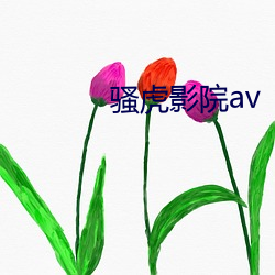 骚虎(虎)影院av