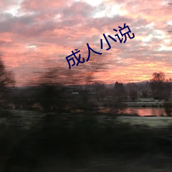 成人小说