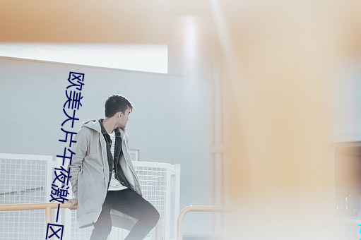 歐美大片午夜激一區