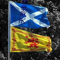 天(天)美传(傳)媒(媒)女(女)老师学生