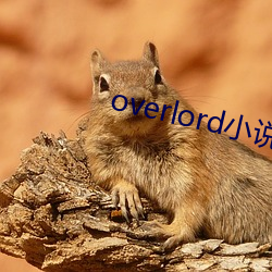 overlord小说 （燕子衔食）