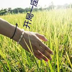 开局一座天机阁 （武林）