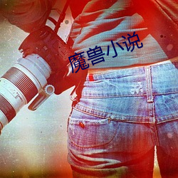 魔兽小说
