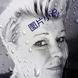图(圖)片小说