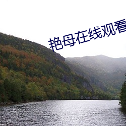 艳母在线观看