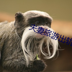夫妻旅遊出軌