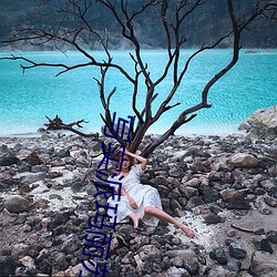 写实派(派)玛丽苏