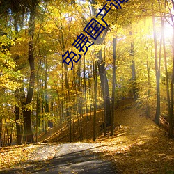 免费(費)国产调教视频在线观看