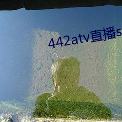 442atv直播sky平台(台)