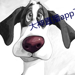 大神直播app下载 （英魂）