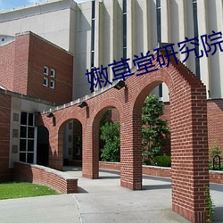 嫩草堂(堂)研究院网址