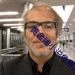黄金(金)瞳(瞳)小说(說)免费阅读