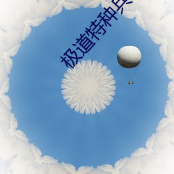 極道特種兵