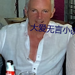 大爱无言小说 骚人词客）
