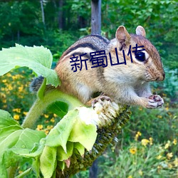 新蜀山传