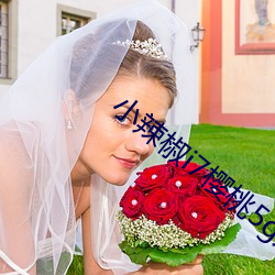 小辣(là)椒i7樱桃5g入口网页版(bǎn)