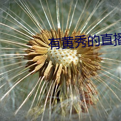 有黄秀的直播