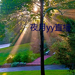 夜(夜)月(月)yy直播
