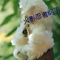 火(火)影忍者纲(綱)手(手)本子
