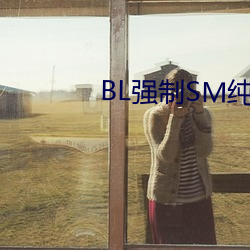 BL强制SM纯调教BL男男