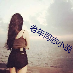 老年同(同)志小说
