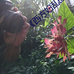 西方妇(婦)乱图(圖)
