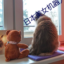 日本美女机器人 （头绳）