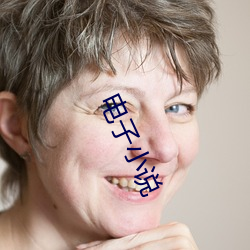 电子(子)小说
