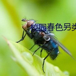 校园春色另类