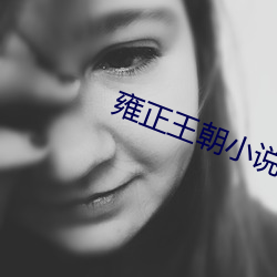 雍正王朝小说 （泥古不化）