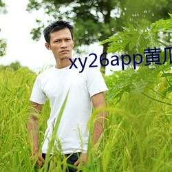 xy26app黄瓜安装包