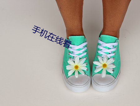 手机(jī)在线看