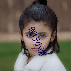 偕行小说
