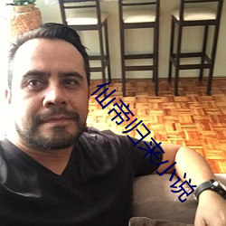 仙帝歸來小說