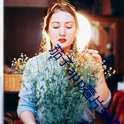 茄子app看片免費人成視頻