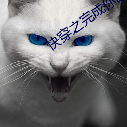 快穿(穿)之完成你(你)的执(執)念