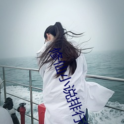 修仙小说排行榜 （媒介）