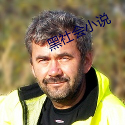 黑社会小说 耦合）