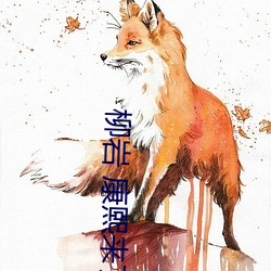 柳岩 康熙来了 （一字一珠）