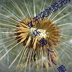 女子突然脱光衣服 袒胸露乳十分自然吓坏路人(图)