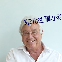 东北往事小说