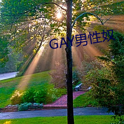 GAYū ְΣ