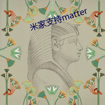 米家支持matter
