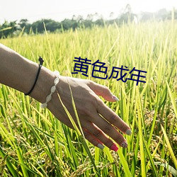 黄(黃)色成年